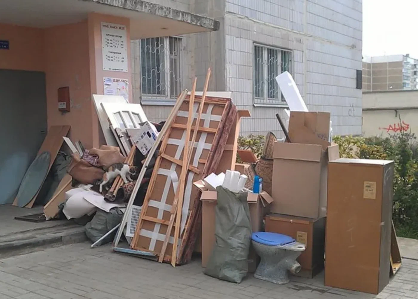 Профессиональный вывоз мусора из квартиры в Рубцовске в октябре