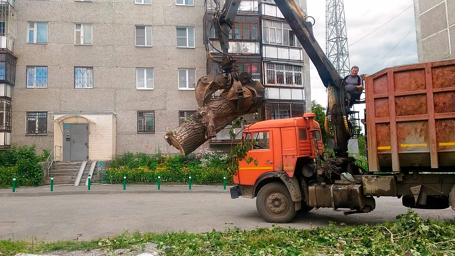 Вывоз спиленных веток и деревьев в Рубцовске от ПроМусор: порубочные остатки, утилизация, цена от 2933 руб
