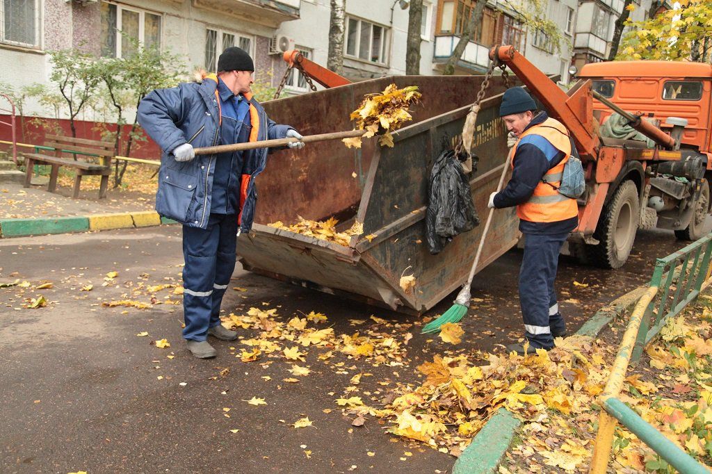 Вывоз опавшей листвы и растительного мусора в Рубцовске от ПроМусор – цена от 4551 руб., быстрая уборка и утилизация